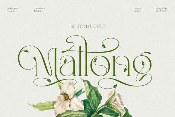 Mallong: A Serif Typeface Blending Elegance and Organic Charm