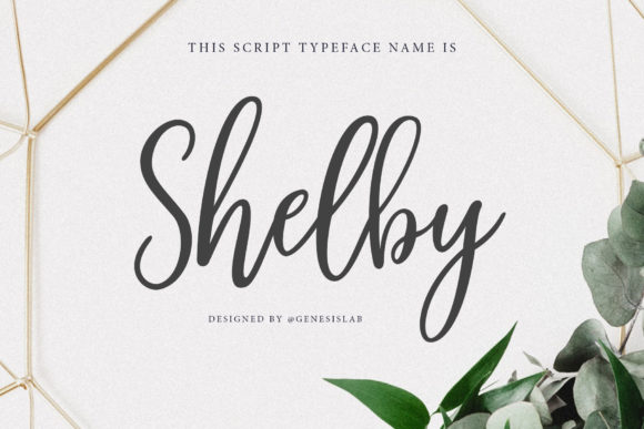 Shelby Script: A Modern Calligraphy Font for Creative Designers