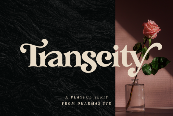 Transcity: Bold Elegance for Modern Typography